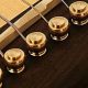 Unlock the Secrets of Acoustic Guitar Bridge Pins: Uncover Hidden Potential - Master the Art of Playing Guitar and Play Like a Pro