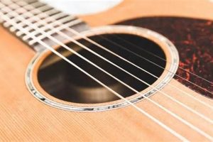 Unveiling the Secrets to Exceptional Acoustic Guitar Strings for Beginners - Master the Art of Playing Guitar and Play Like a Pro