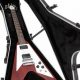 Unveiling the Gibson Flying V Guitar Case: A Haven of Protection and Inspiration - Master the Art of Playing Guitar and Play Like a Pro