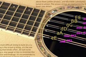 Unveil the Secrets of 12-String Guitar Strings: Discover the Gauges That Enhance Your Performance Master the Art of Playing Guitar and Play Like a Pro Unveil the Secrets of 12-String Guitar Strings: Discover the Gauges That Enhance Your Performance - Master the Art of Playing Guitar and Play Like a Pro