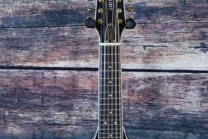 Unveiling the Enchanting World of 12 String Mandolin Guitars Master the Art of Playing Guitar and Play Like a Pro Unveiling the Enchanting World of 12 String Mandolin Guitars - Master the Art of Playing Guitar and Play Like a Pro