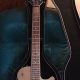 Unveiling the Secrets of Arbor Guitar Electric: A Journey of Discovery and Sonic Excellence - Master the Art of Playing Guitar and Play Like a Pro