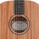 Unveiling the Sonic Treasures of Short Scale Acoustic Guitars: A Journey of Discovery - Master the Art of Playing Guitar and Play Like a Pro