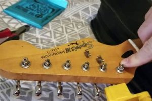 Unleash Your Stratocaster's True Potential: Discover the Best Guitar Strings Master the Art of Playing Guitar and Play Like a Pro Unleash Your Stratocaster's True Potential: Discover the Best Guitar Strings - Master the Art of Playing Guitar and Play Like a Pro