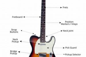 Unveiling the Secrets of the Electric Guitar: A Comprehensive Diagram for Deep Insights Master the Art of Playing Guitar and Play Like a Pro Unveiling the Secrets of the Electric Guitar: A Comprehensive Diagram for Deep Insights - Master the Art of Playing Guitar and Play Like a Pro