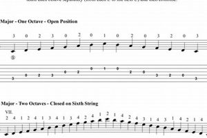 Unlock the Secrets of Guitar Scales: A Tab-ulous Journey to Mastery - Master the Art of Playing Guitar and Play Like a Pro