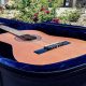 Unveiling the Secrets of Reunion Blues Guitar Cases: A Journey of Discovery - Master the Art of Playing Guitar and Play Like a Pro