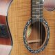 Unveiling the Secrets of Dean Acoustic Electric Guitars: Discover Exceptional Sound and Innovation - Master the Art of Playing Guitar and Play Like a Pro