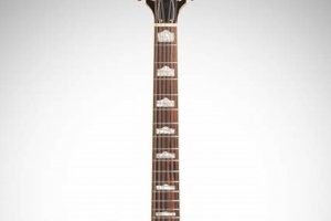 Unleash the Enchanting Sounds of the Electric Guitar 12 String: Discoveries and Insights Master the Art of Playing Guitar and Play Like a Pro Unleash the Enchanting Sounds of the Electric Guitar 12 String: Discoveries and Insights - Master the Art of Playing Guitar and Play Like a Pro