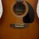 Discover the Rustic Charm and Unveil the Secrets of the Seagull Entourage Acoustic Guitar - Master the Art of Playing Guitar and Play Like a Pro