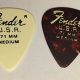 Unveiling the Hidden Gems: A Journey into the World of Rare Guitar Picks - Master the Art of Playing Guitar and Play Like a Pro