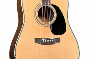 Unveiling the Secrets of Blueridge Acoustic Guitars: A Journey of Sound and Craftsmanship - Master the Art of Playing Guitar and Play Like a Pro