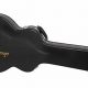 Epiphone 335 Guitar Case: Unlocking Protection, Durability, and Style - Master the Art of Playing Guitar and Play Like a Pro