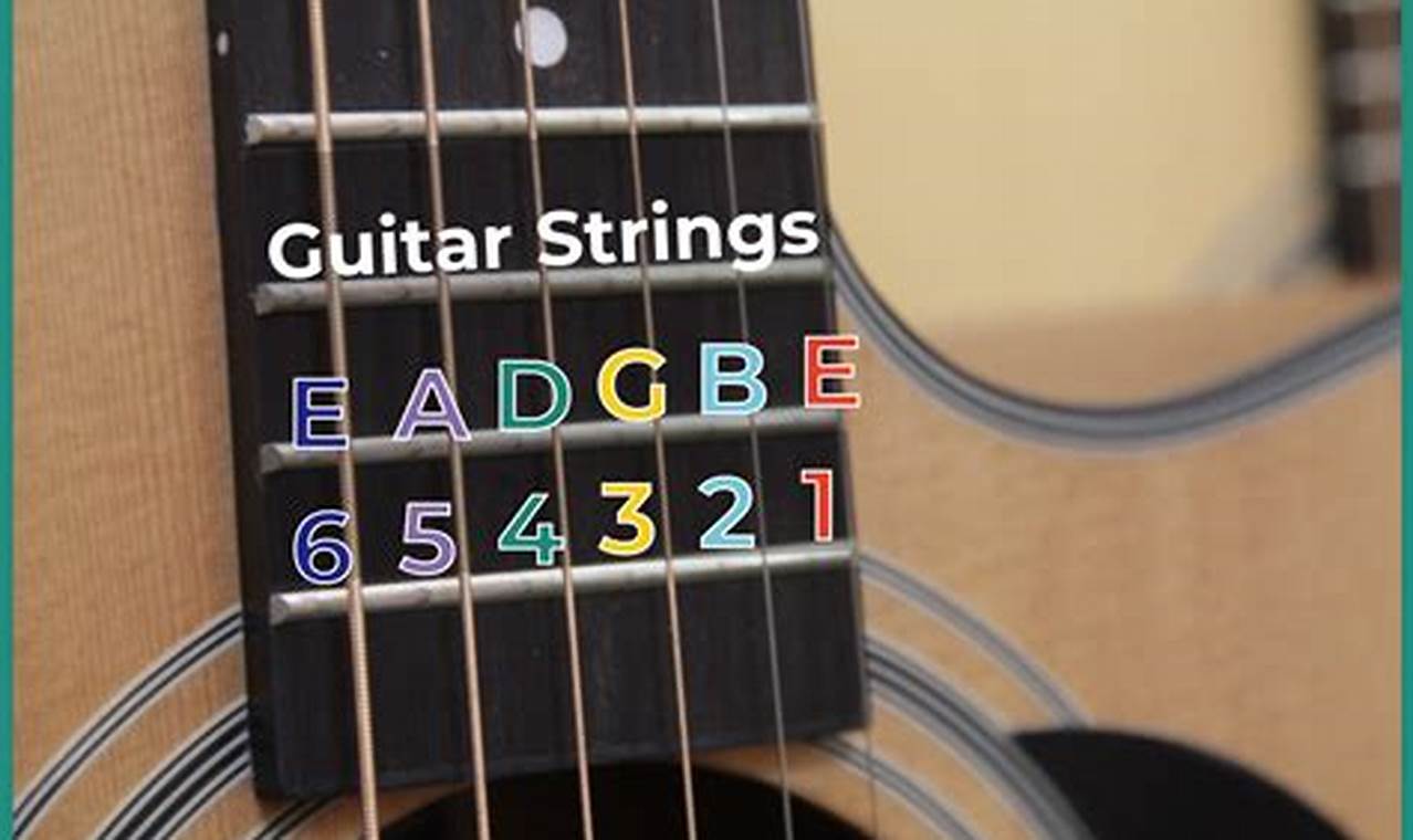 Unleash the Strings: Discoveries and Insights into the Enchanting World ...
