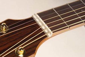 Unleashing the Secrets of Guitar Nut Electric: Discoveries and Insights Master the Art of Playing Guitar and Play Like a Pro Unleashing the Secrets of Guitar Nut Electric: Discoveries and Insights - Master the Art of Playing Guitar and Play Like a Pro