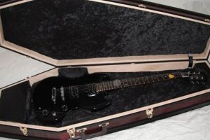 Discover the Secrets of the Perfect Customized Guitar Case Master the Art of Playing Guitar and Play Like a Pro Discover the Secrets of the Perfect Customized Guitar Case - Master the Art of Playing Guitar and Play Like a Pro