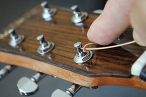Unlock the Secrets of Guitar String Spools: Discoveries That Will Transform Your Playing Master the Art of Playing Guitar and Play Like a Pro Unlock the Secrets of Guitar String Spools: Discoveries That Will Transform Your Playing - Master the Art of Playing Guitar and Play Like a Pro