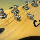 Unlock the Secrets to Perfect Guitar String Trees: Enhancing Tone, Playability, and More - Master the Art of Playing Guitar and Play Like a Pro