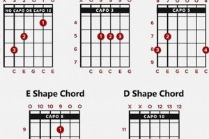 Discover the Secrets of C Chord Guitar Variations Master the Art of Playing Guitar and Play Like a Pro Discover the Secrets of C Chord Guitar Variations - Master the Art of Playing Guitar and Play Like a Pro