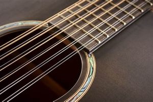 Unleash the Power of 12 String Guitar Strings: Uncover Hidden Sounds and Techniques Master the Art of Playing Guitar and Play Like a Pro Unleash the Power of 12 String Guitar Strings: Uncover Hidden Sounds and Techniques - Master the Art of Playing Guitar and Play Like a Pro