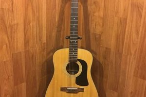 Unveiling the Sonic Brilliance of 12-String Washburn Guitars: A Journey of Discovery Master the Art of Playing Guitar and Play Like a Pro Unveiling the Sonic Brilliance of 12-String Washburn Guitars: A Journey of Discovery - Master the Art of Playing Guitar and Play Like a Pro