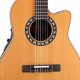 Embark on a Sonic Journey with Nylon String Acoustic Electric Guitars - Master the Art of Playing Guitar and Play Like a Pro