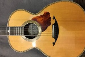 Unveiling the Secrets: Discover the World of Acoustic Guitar Makers Master the Art of Playing Guitar and Play Like a Pro Unveiling the Secrets: Discover the World of Acoustic Guitar Makers - Master the Art of Playing Guitar and Play Like a Pro
