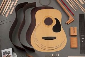 Craft Your Dream Guitar: Discoveries and Insights for Building Your Acoustic Kit Master the Art of Playing Guitar and Play Like a Pro Craft Your Dream Guitar: Discoveries and Insights for Building Your Acoustic Kit - Master the Art of Playing Guitar and Play Like a Pro