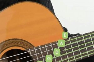 Unveiling the Secrets of Acoustic Guitar Strings: A Journey of Tone and Playability Master the Art of Playing Guitar and Play Like a Pro Unveiling the Secrets of Acoustic Guitar Strings: A Journey of Tone and Playability - Master the Art of Playing Guitar and Play Like a Pro