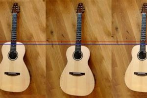 Unleash the Enchanting World of 12-Fret Acoustic Guitars: Discoveries and Insights Master the Art of Playing Guitar and Play Like a Pro Unleash the Enchanting World of 12-Fret Acoustic Guitars: Discoveries and Insights - Master the Art of Playing Guitar and Play Like a Pro