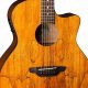 Unveiling the Enchanting World of Luna Acoustic Guitars - Master the Art of Playing Guitar and Play Like a Pro