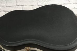 Unleash Your Guitar's Freedom: Discover Ultimate Protection with SKB Master the Art of Playing Guitar and Play Like a Pro Unleash Your Guitar's Freedom: Discover Ultimate Protection with SKB - Master the Art of Playing Guitar and Play Like a Pro