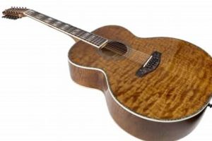 Unveiling the Tario 12-String Acoustic: A Journey of Sound and Craftsmanship Master the Art of Playing Guitar and Play Like a Pro Unveiling the Tario 12-String Acoustic: A Journey of Sound and Craftsmanship - Master the Art of Playing Guitar and Play Like a Pro