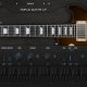 Unleash Your Electric Guitar Potential: Discover the Secrets of Electric Guitar Plugins - Master the Art of Playing Guitar and Play Like a Pro