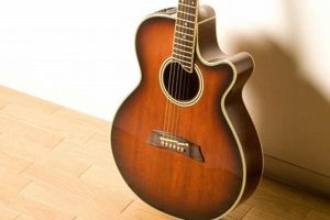 Unveiling the Holy Grail: Discover the Best Acoustic Guitar for Blues Mastery Master the Art of Playing Guitar and Play Like a Pro Unveiling the Holy Grail: Discover the Best Acoustic Guitar for Blues Mastery - Master the Art of Playing Guitar and Play Like a Pro