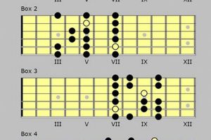 Unleash the Power of the E Minor Scale: Uncover Hidden Secrets and Melodies! Master the Art of Playing Guitar and Play Like a Pro Unleash the Power of the E Minor Scale: Uncover Hidden Secrets and Melodies! - Master the Art of Playing Guitar and Play Like a Pro