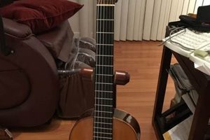 Unraveling the Enchanting World of Gut String Guitars: Discoveries and Insights Master the Art of Playing Guitar and Play Like a Pro Unraveling the Enchanting World of Gut String Guitars: Discoveries and Insights - Master the Art of Playing Guitar and Play Like a Pro
