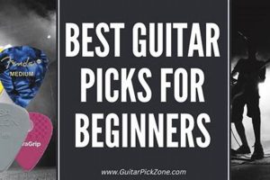 Uncover the Essential Guide to Picks for Beginner Guitarists Master the Art of Playing Guitar and Play Like a Pro Uncover the Essential Guide to Picks for Beginner Guitarists - Master the Art of Playing Guitar and Play Like a Pro