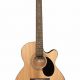 Discover the Enchanting World of Acoustic Guitar Jasmine: Unveiling Its Secrets - Master the Art of Playing Guitar and Play Like a Pro