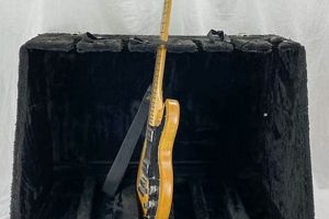 Unlock the Secrets to Unparalleled Guitar Protection: Discover the Road Runner RRGS6 Case Master the Art of Playing Guitar and Play Like a Pro Unlock the Secrets to Unparalleled Guitar Protection: Discover the Road Runner RRGS6 Case - Master the Art of Playing Guitar and Play Like a Pro