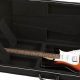 Unveiling the Secrets of Roadrunner Guitar Cases: A Journey to Protection and Excellence - Master the Art of Playing Guitar and Play Like a Pro
