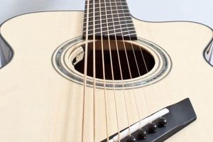 Unleash the Sonic Spectrum: Discoveries in 8 String Acoustic Guitars Master the Art of Playing Guitar and Play Like a Pro Unleash the Sonic Spectrum: Discoveries in 8 String Acoustic Guitars - Master the Art of Playing Guitar and Play Like a Pro