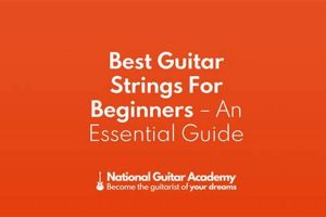 Unveiling the Perfect Strings: Your Guide to Recommended Guitar Strings for Beginners Master the Art of Playing Guitar and Play Like a Pro Unveiling the Perfect Strings: Your Guide to Recommended Guitar Strings for Beginners - Master the Art of Playing Guitar and Play Like a Pro