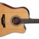 Unveil the Secrets of Takamine's Exceptional 6-String Acoustic Guitars - Master the Art of Playing Guitar and Play Like a Pro