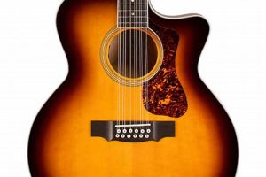 Unleash the Enchanting World of 12-String Guitar de Rosa Master the Art of Playing Guitar and Play Like a Pro Unleash the Enchanting World of 12-String Guitar de Rosa - Master the Art of Playing Guitar and Play Like a Pro