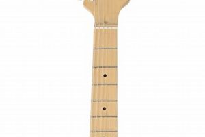 Unveil the Secrets and Sounds of the Legendary Electra Phoenix Guitar Master the Art of Playing Guitar and Play Like a Pro Unveil the Secrets and Sounds of the Legendary Electra Phoenix Guitar - Master the Art of Playing Guitar and Play Like a Pro