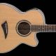 Unleash the Secrets of Dean Acoustic Guitars: Discoveries and Insights - Master the Art of Playing Guitar and Play Like a Pro