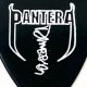Unveiling the Secrets of Pantera Guitar Picks: Discoveries and Insights - Master the Art of Playing Guitar and Play Like a Pro