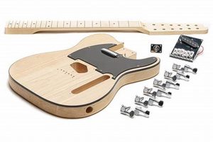 Incredible Discoveries: Unveil the Secrets of Building a 12 String Guitar Master the Art of Playing Guitar and Play Like a Pro Incredible Discoveries: Unveil the Secrets of Building a 12 String Guitar - Master the Art of Playing Guitar and Play Like a Pro