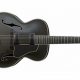 Unveil the Secrets of the Enigmatic 7 String Semi Hollow Guitar - Master the Art of Playing Guitar and Play Like a Pro